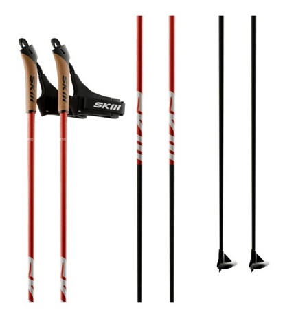 Палки SKIII CORE 1.0 100% CARBON